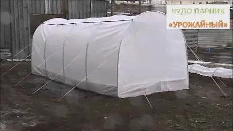 Чудо парник "Урожайный" во время дождя