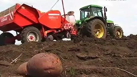 Где родился, там и пригодился. Главный агроном из Волжского района