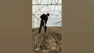 Бурим лунки #томатныйсок #organicfarming #кубанамаркет #производство #фабрика #farming #tomato