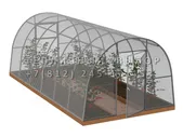 Теплица Агроном-6 стандарт Оц100 ПК-4 [ФМ1896]