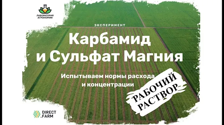 Приготовление рабочего раствора карбамида на агрономическом эксперименте