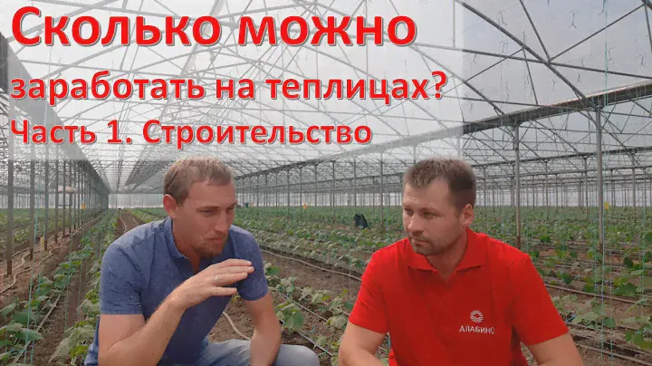 Тепличный бизнес, часть 1. Что нужно знать перед тем, как начинать тепличный бизнес?