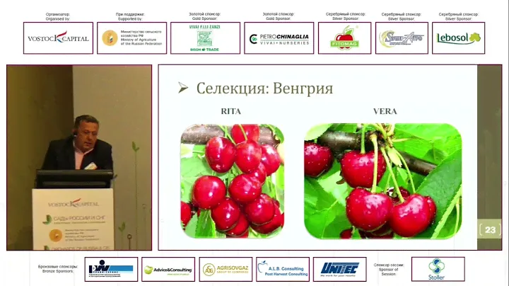 Особенности интенсивной технологии выращивания черешни