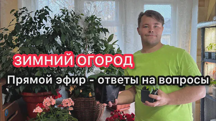 ЗИМНИЙ ОГОРОД - ответы на вопросы