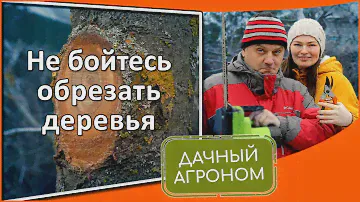 Наверное самое простое видео про обрезку сада! Правила обрезки плодовых деревьев для начинающих