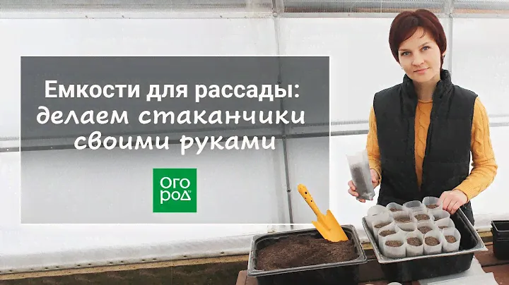 Как сделать емкости для рассады самому: быстро и дешево