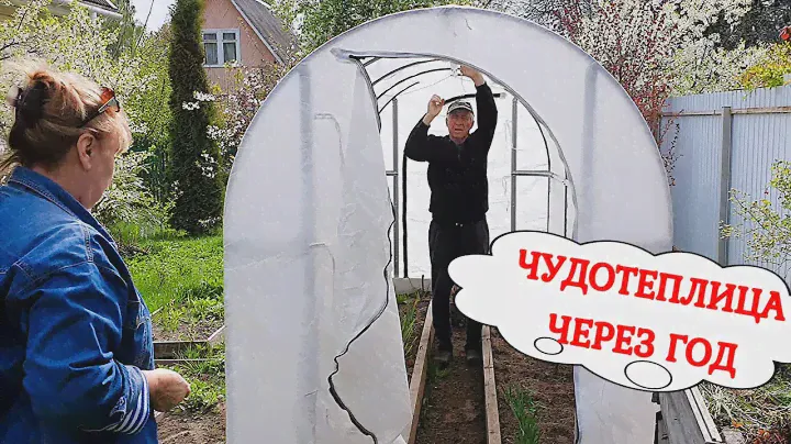 Что с теплицей? Как сэкономить на тенте чудотеплицы Сибирский Агроном?!