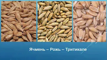 Агрономия для чайников