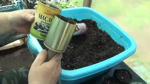 Самый бюджетный стакан для рассады своими руками