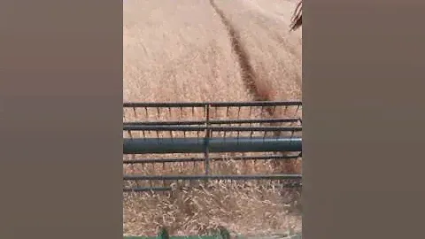 Юный агроном и джондир