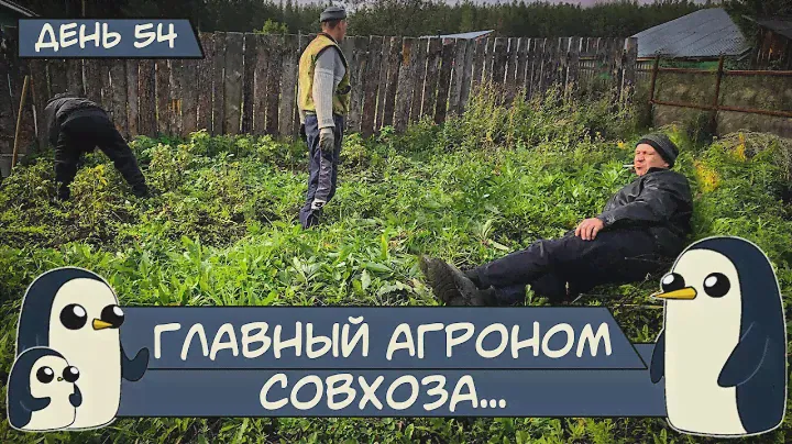 (День 54) Главный агроном совхоза