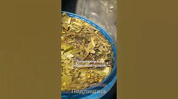 Удобрения НЕ НУЖНЫ если ваша ЗЕМЛЯ КАК ХЛЕБ Дачный агроном