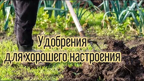 КАКИЕ УДОБРЕНИЯ В САДУ И ОГОРОДЕ Я ИСПОЛЬЗУЮ. Вносим удобрения правильно - по фазе развития растений