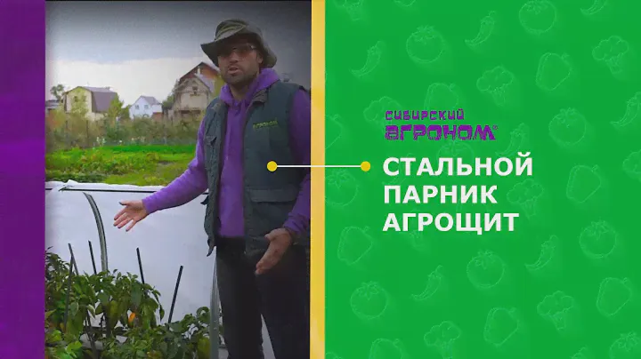 Стальной парник Агрощит
