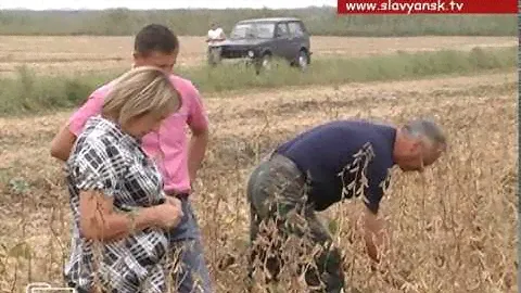 Тамара Туриченко – заслуженный агроном России