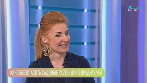 Как обезопасить садовые растения от вредителей Консультация агронома